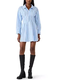 Women's Ariany Striped Mini Dress