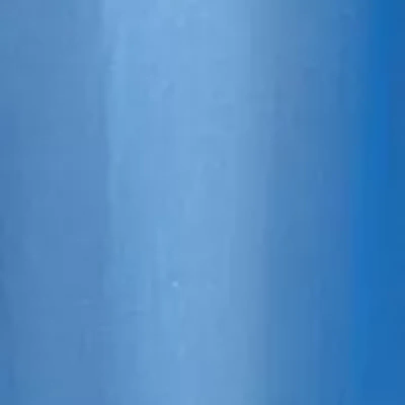 Women's Cap Sleeve Embroidered Yoke Top