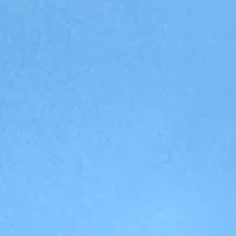 Women's Crew Neck Flutter Sleeve Shirt