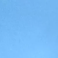 Women's Crew Neck Flutter Sleeve Shirt