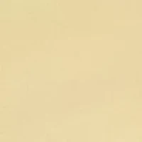 Women's Crew Neck Flutter Sleeve Shirt