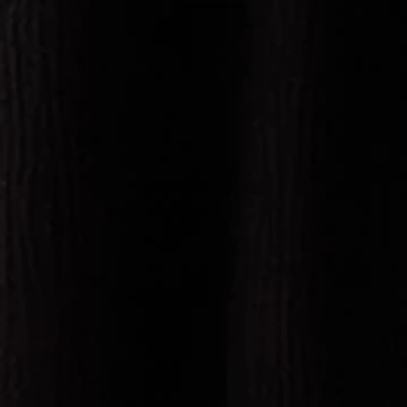 Women's Embroidered Batwing Sleeve Top