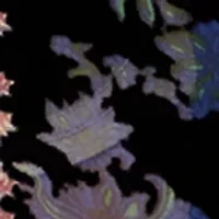 Women's Burnout Velvet Long Sleeve Shirt