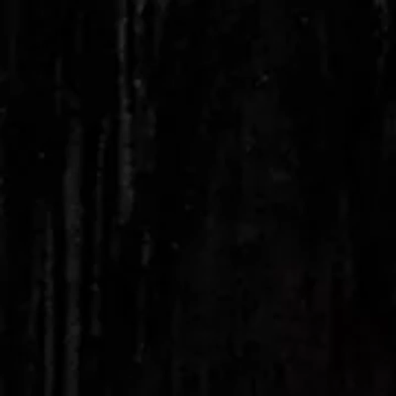 Women's Ruffle Long Sleeve Velvet Shirt