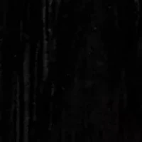 Women's Ruffle Long Sleeve Velvet Shirt