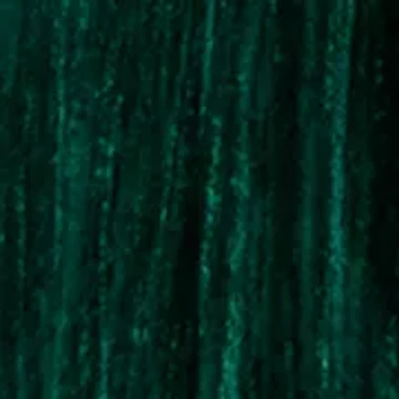 Women's Ruffle Long Sleeve Velvet Shirt