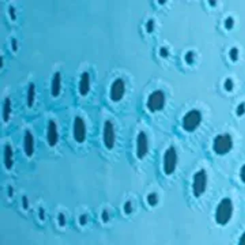 Plus Eyelet Button Down Shirt