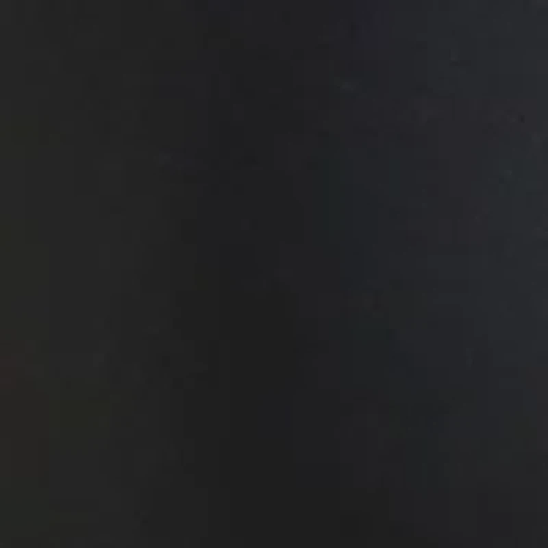 Women's Shell We Scoop Neck One Piece Swimsuit