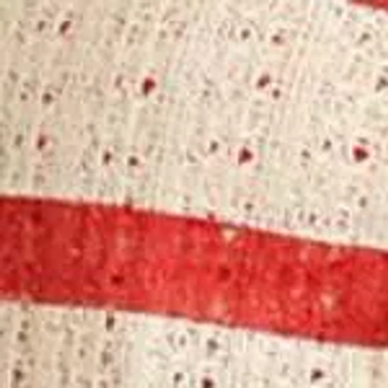 Fold-Over Mini Shorts