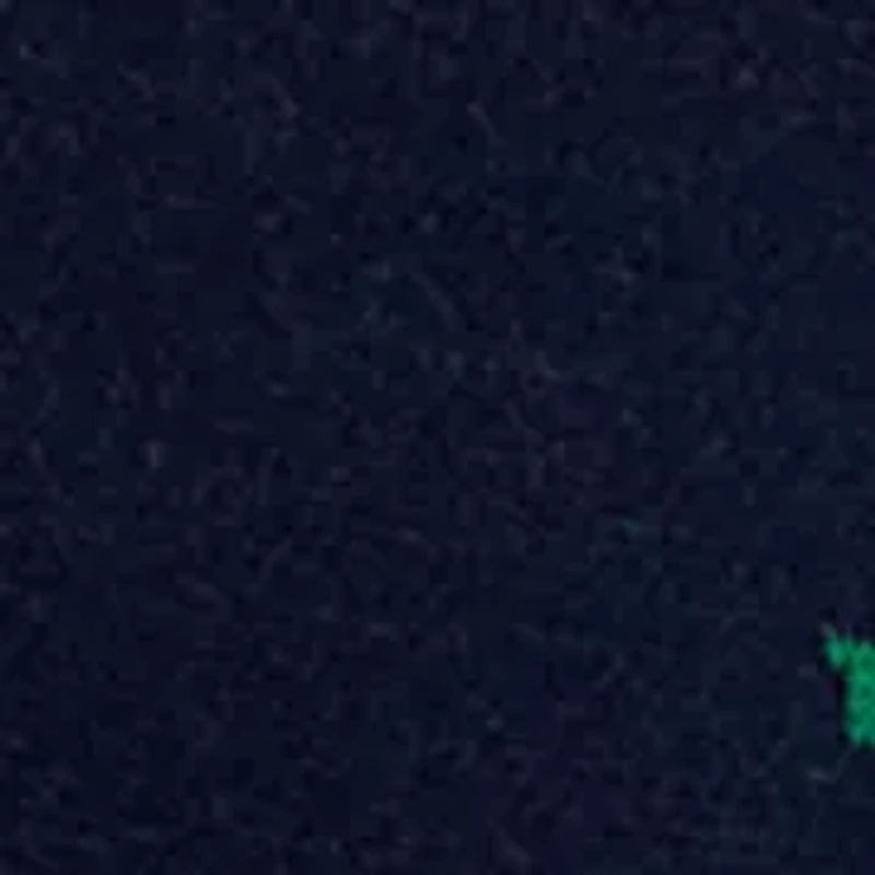 Women's Puff Sleeve Intarsia Knit Tunic Sweater