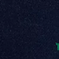 Women's Puff Sleeve Intarsia Knit Tunic Sweater