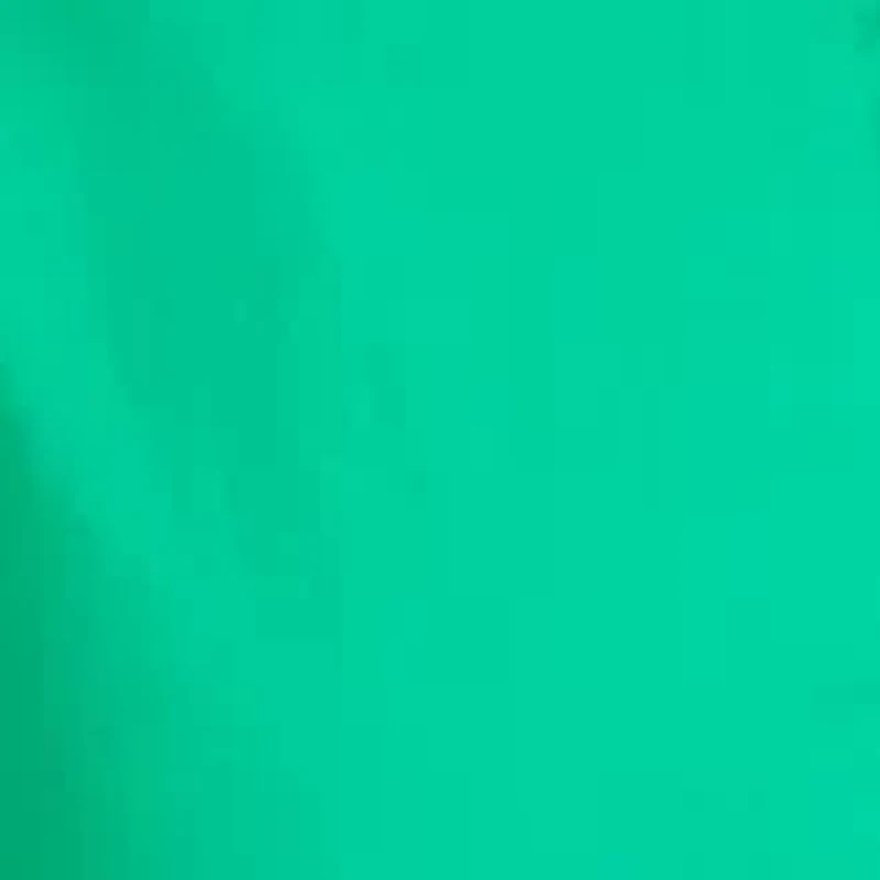 Women's Ruffle Sleeve Poplin Shirt Dress