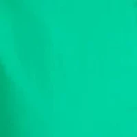 Women's Ruffle Sleeve Poplin Shirt Dress