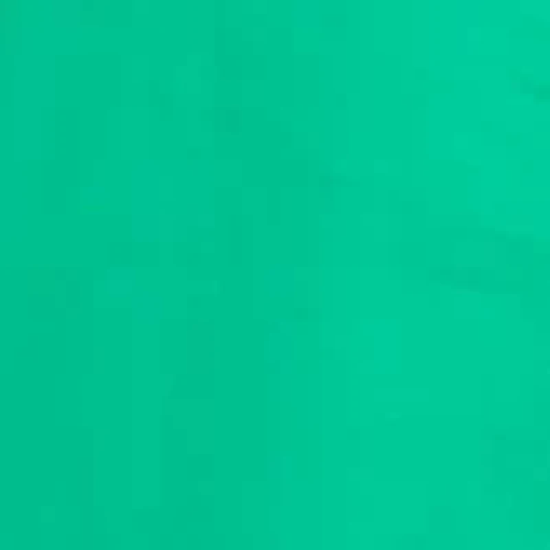 Petite Ruffle Sleeve Poplin Shirt Dress