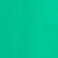 Petite Ruffle Sleeve Poplin Shirt Dress