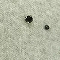 Plus Pearl Jeweled Sweater