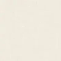ALTHEA EMBROIDERED COLLAR LINEN SHIRT