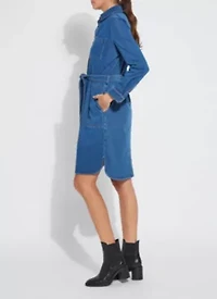 Knit Denim Schiffer Dress