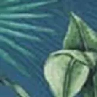 Women's Palm Toile Louise Wrap Tankini Swim Top