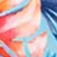 Sunset Spirit Adjustable Bathing Suit Bra Top