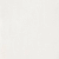 Petite Easy Care Button Front Shirt