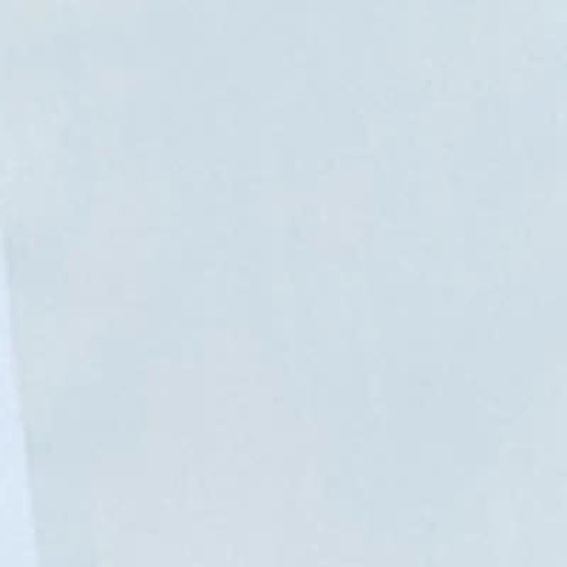 Petite Easy Care Button Front Shirt