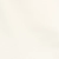 Petite Long Sleeve Satin Button Front Shirt