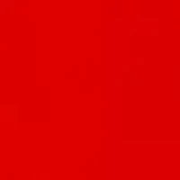 Petite High Rise Fly Front Wide Leg Pants