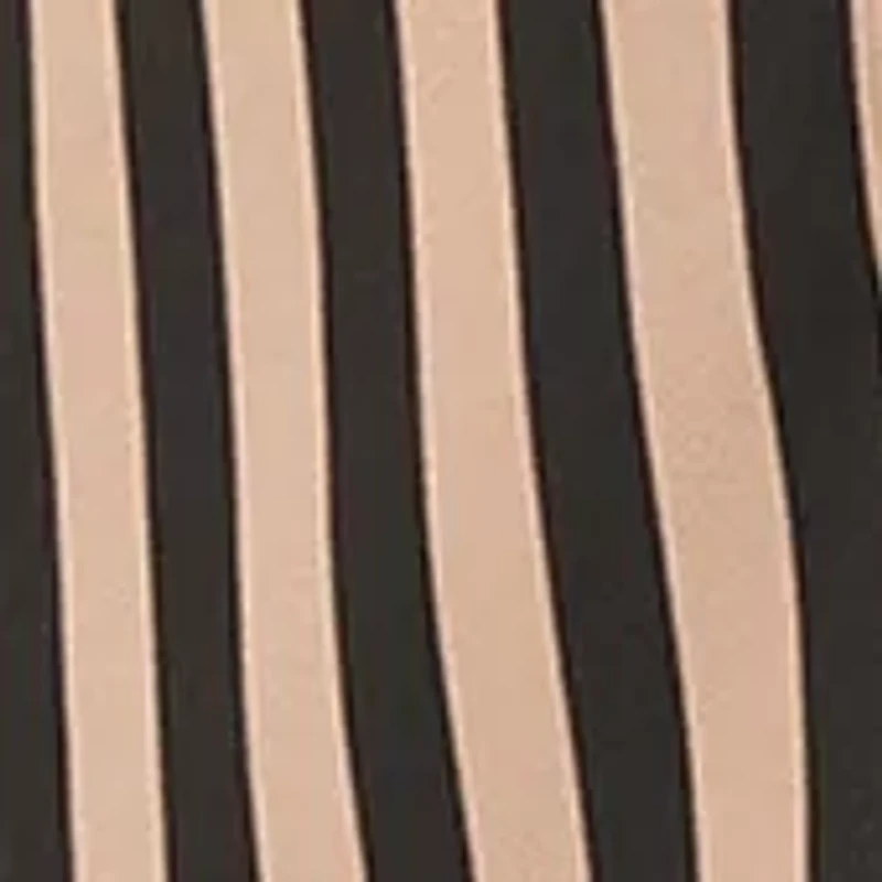 Women's Stripe Long Sleeve Button Front Blouse