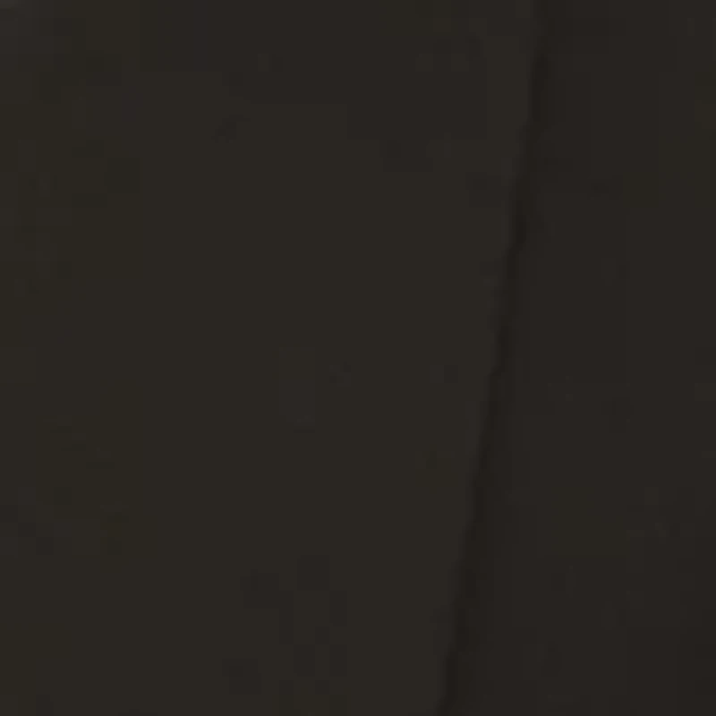 Petite Sleeveless Belted Jumpsuit