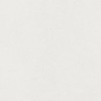 Women's Sleeveless Mock Neck Blouse