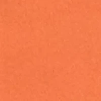 Petite Mock Neck Sleeveless Blouse