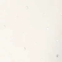 Women's Sleeveless Mock Neck Heat Set Stud Dress