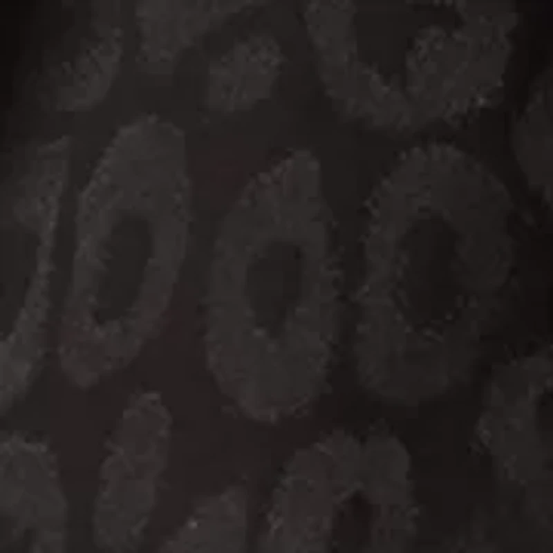 Women's Long Sleeve Printed Button Down Shirt