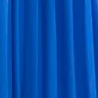 Women's Pleated Skirt