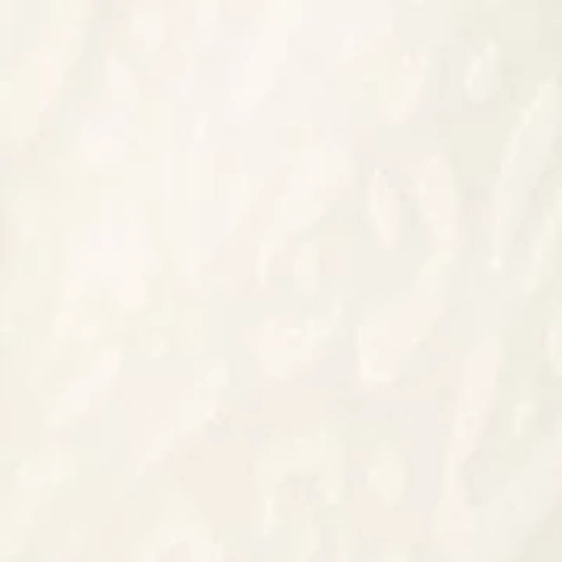 Petite Elbow Sleeve Basic Tee