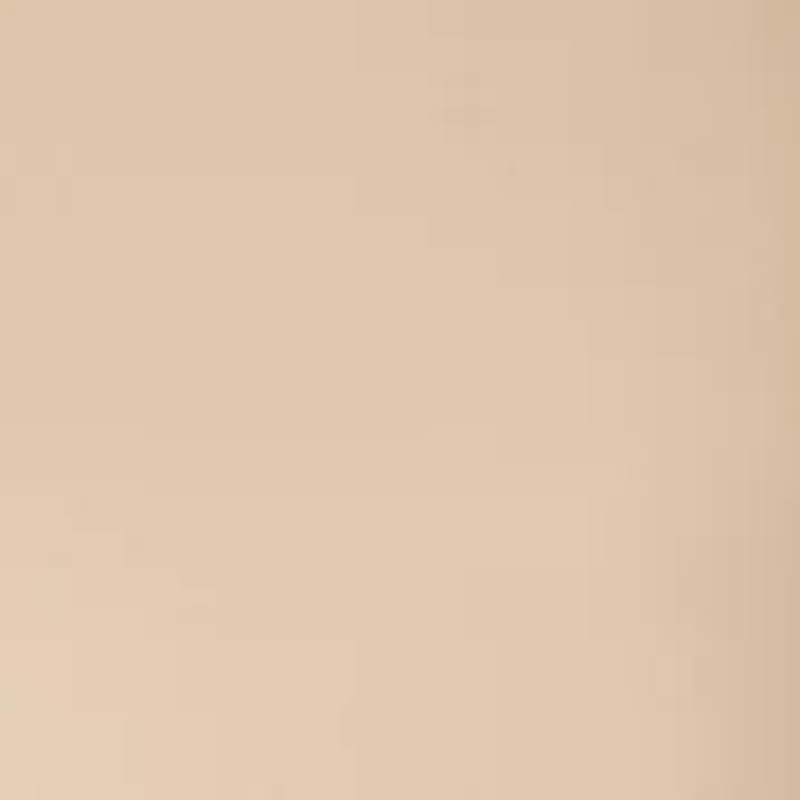 Women's Fly Front Hollywood Waist Pants