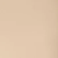 Women's Fly Front Hollywood Waist Pants