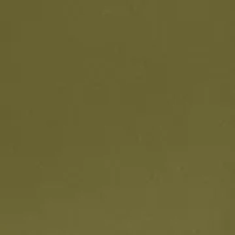 Women's Fly Front Hollywood Waist Pants