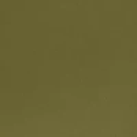 Women's Fly Front Hollywood Waist Pants