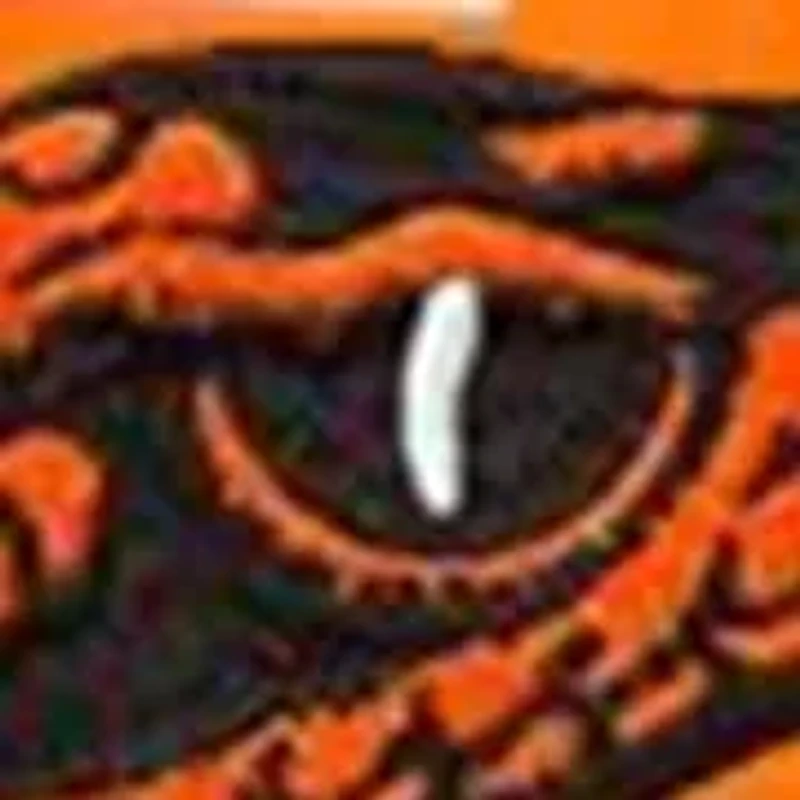 NCAA Florida A&M Rattlers Cropped Sweatshirt Hoodie