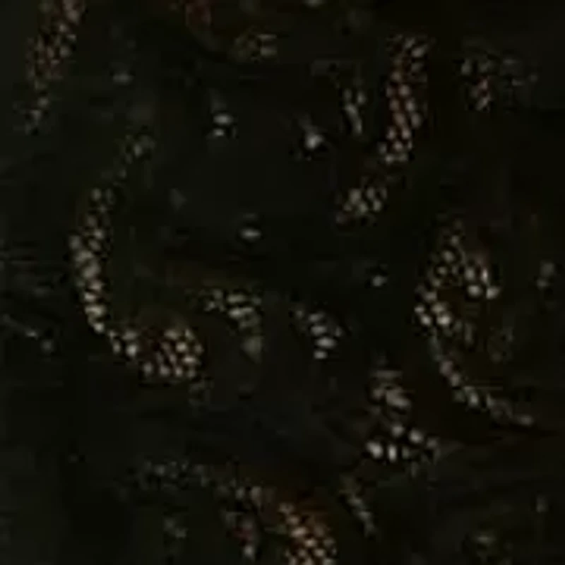 Delicate Lace Bolero