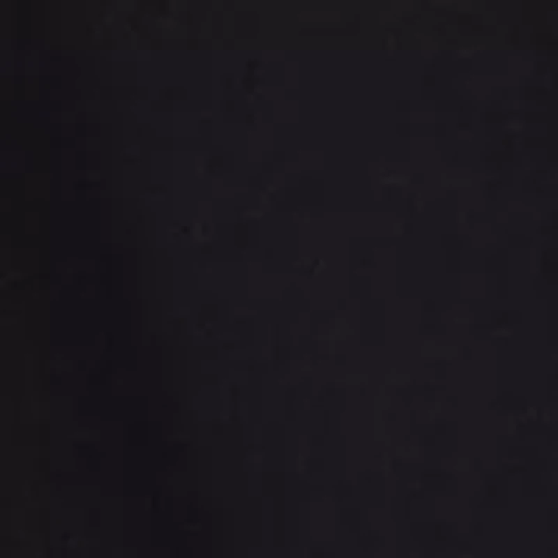 2-in-1 Shorts with Mesh