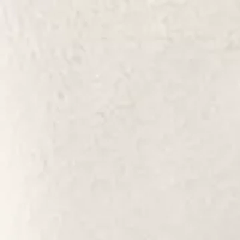 Women's Long Sleeve Fur Jacket