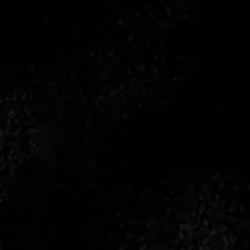 Petite Faux Fur Vest