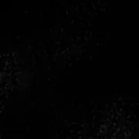 Petite Faux Fur Vest