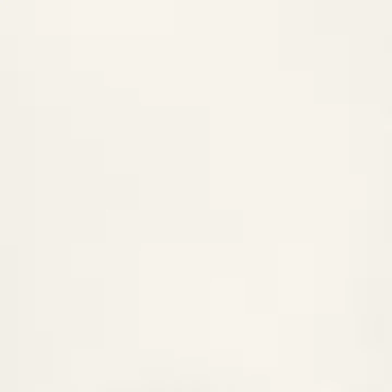 Petite Long Sleeve Slim Fit Utility Blouse