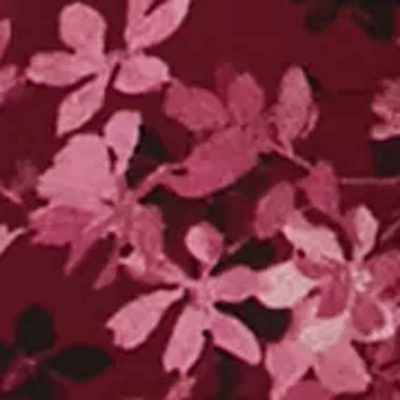 Petite Satin Woven Printed Blouse