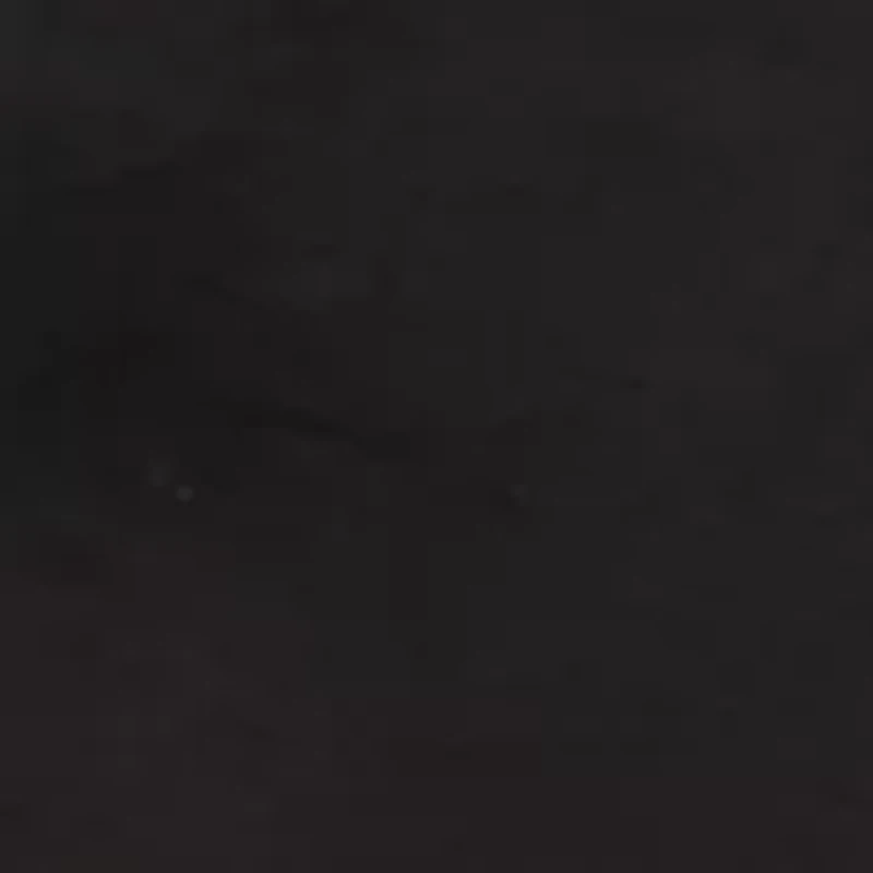 Petite Satin Solid Woven Top