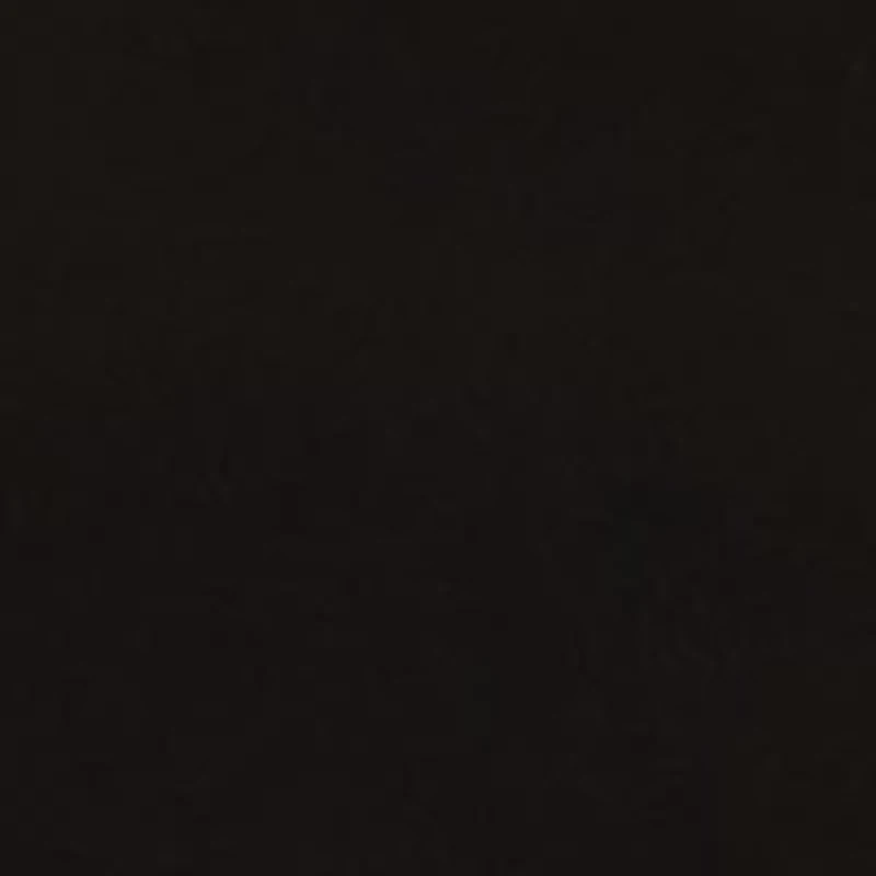 Petite Long Sleeve Front Ruched Top with Rivets